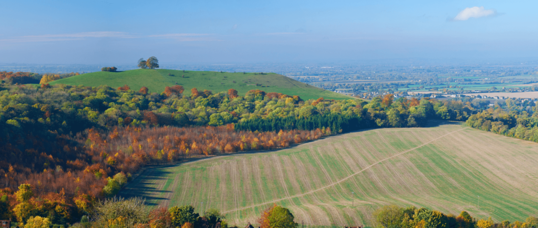 A middle class revolt in the Chilterns