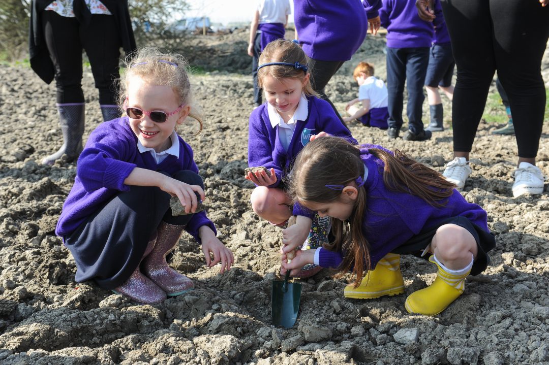 The Power of Youth Engagement in the Built Environment - from bulb planting to pump tracks