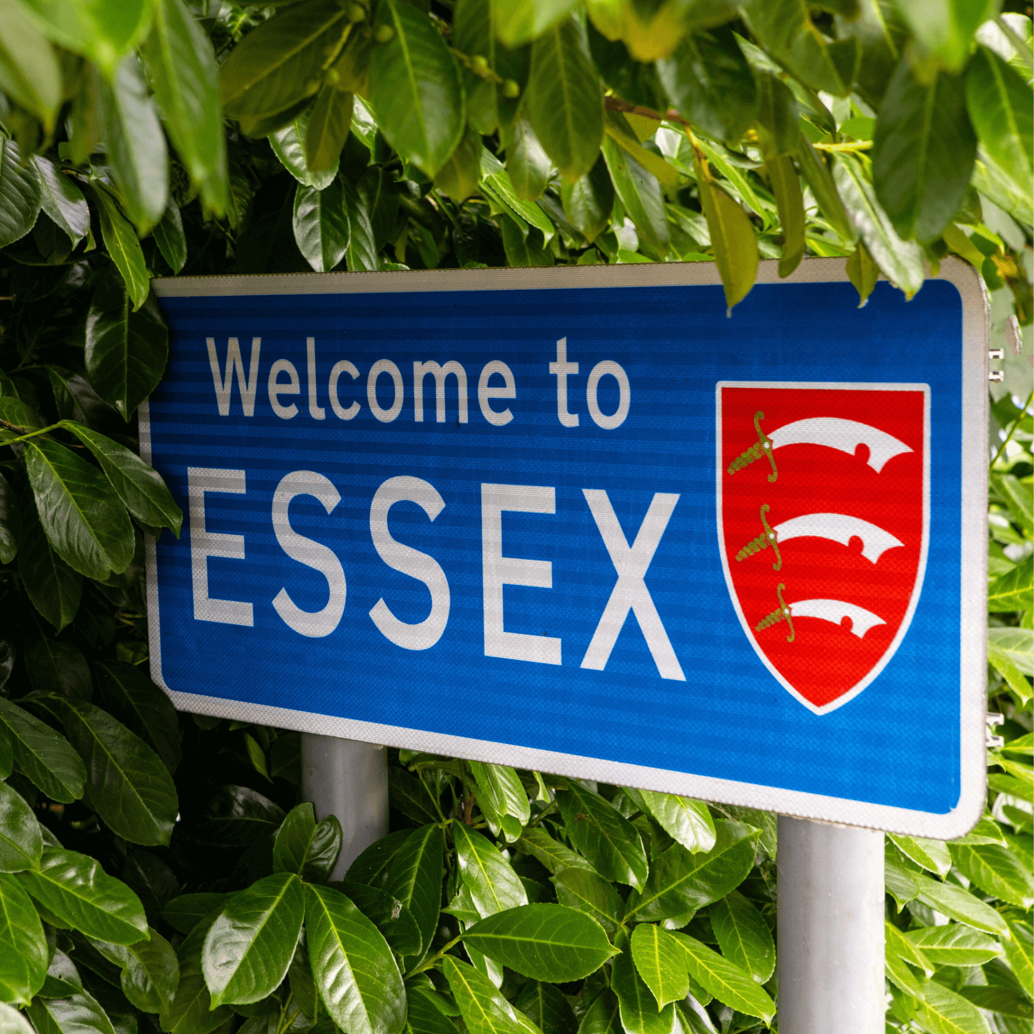 Devolution Diaries: Why Essex’s Mayoral Election might decide the fate ...